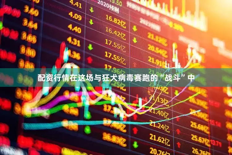 配资行情在这场与狂犬病毒赛跑的“战斗”中