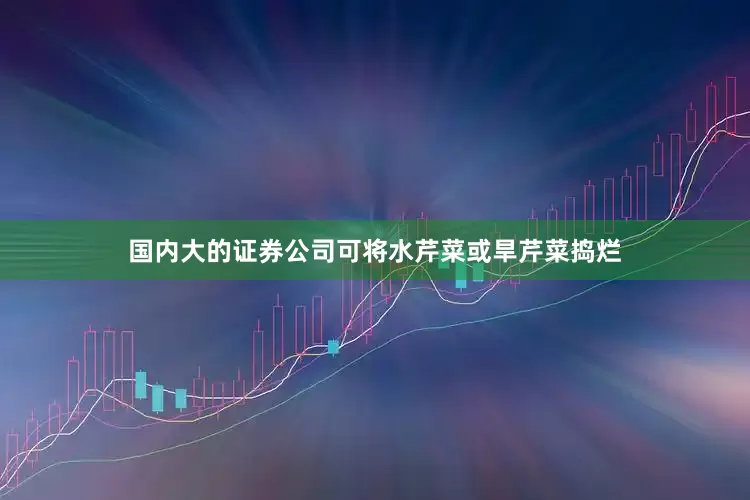 国内大的证券公司可将水芹菜或旱芹菜捣烂