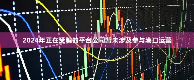 2024年正在受骗的平台公司暂未涉及参与港口运营