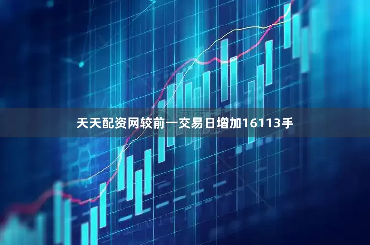 天天配资网较前一交易日增加16113手