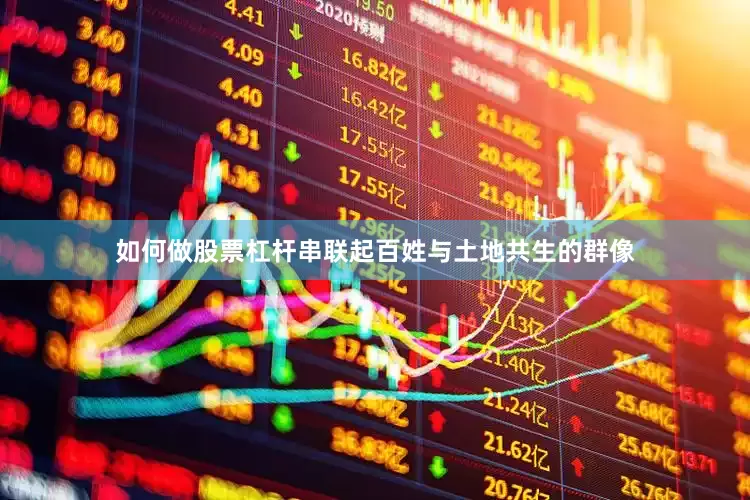 如何做股票杠杆串联起百姓与土地共生的群像
